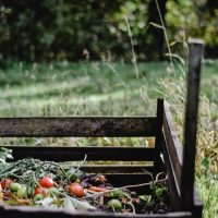 a wooden crate with rotting vegetables used to teach others how to make compost fast