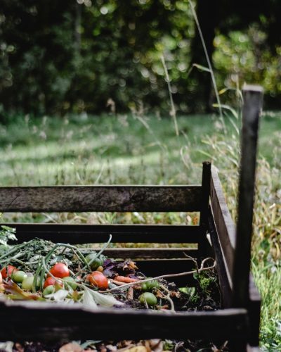 a wooden crate with rotting vegetables used to teach others how to make compost fast