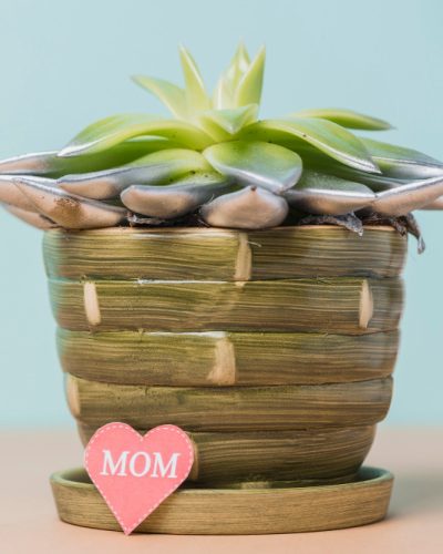 eco-friendly mother's day gifts in the form of a potplant with a heart card saying "MOM"
