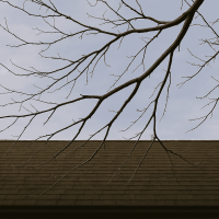 overhanging branch over roof illustrating the importance of Fire-Safe Landscaping