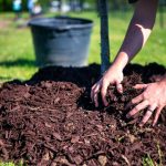 Eco-Friendly Disposal of wood chips with hands of a pile of mulch