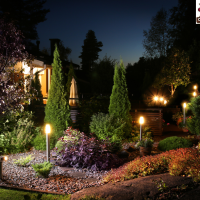 Cost-Effective Tree Care illustrated by small trees in a smaller urban garden