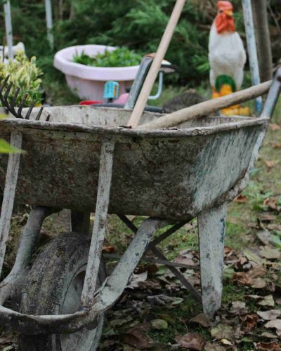 Spring garden maintenance illustrated by wheelbarrow with tools in messy garden