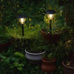 solar lights in garden creating stylish landscaping designs