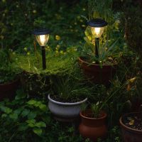 solar lights in garden creating stylish landscaping designs