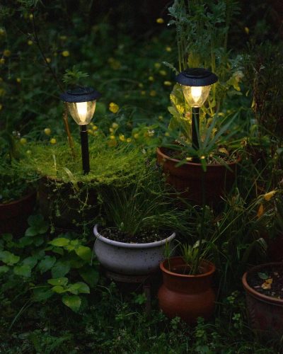 solar lights in garden creating stylish landscaping designs