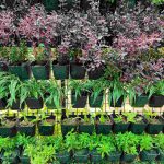 DIY Vertical Garden wall with stacked pot plants