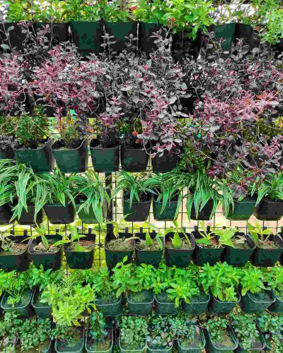 DIY Vertical Garden wall with stacked pot plants