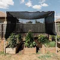 7 Ways to Beat Summer Heat Stress with shade netting over plants