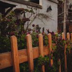 house with overgrown plants reaching through the fence with a practical guide to clearing them