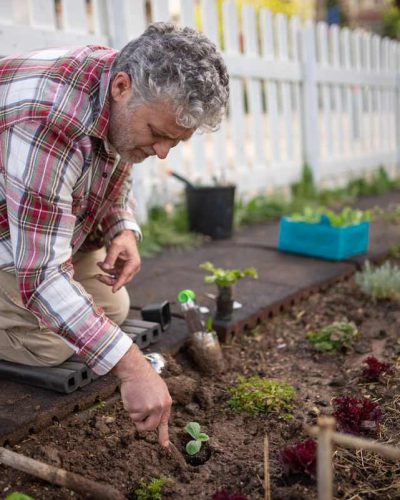 correcting 10 Common Gardening Mistakes gardeners make with a man planting a seedling among plants with proper spacing
