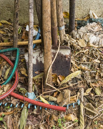 DIY garden cleanup stopped halfway with piled tree waste