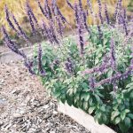 Eco-Friendly wood chipping in action to transform garden waste into mulch