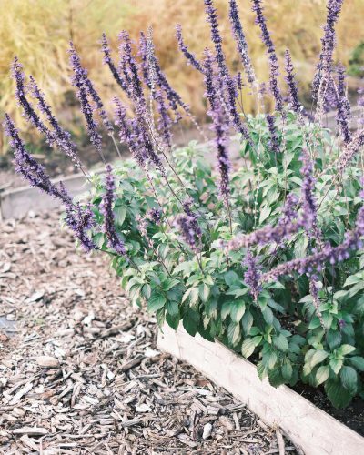 Eco-Friendly wood chipping in action to transform garden waste into mulch