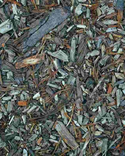 Wood chips used as mulch to protect soil, retain moisture, and improve garden soil health