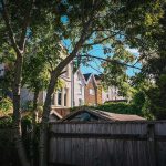 Mature trees providing shade around a home and helping reduce outdoor temperatures during summer