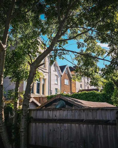 Mature trees providing shade around a home and helping reduce outdoor temperatures during summer