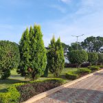 A well-planned garden with healthy plants, mulched garden beds, clear pathways, and neatly spaced shrubs requiring minimal maintenance.