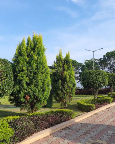 A well-planned garden with healthy plants, mulched garden beds, clear pathways, and neatly spaced shrubs requiring minimal maintenance.
