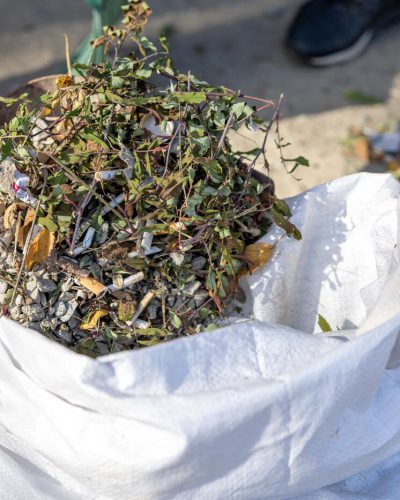 Pile of untreated green waste showing early weed growth and signs of animal disturbance